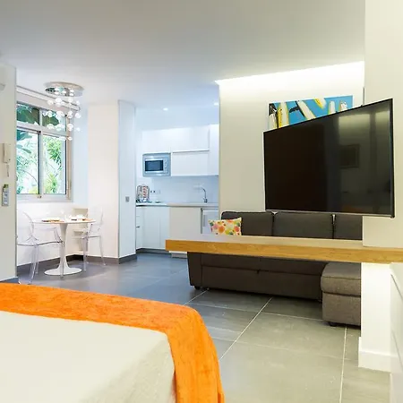 公寓 Garden Loft Miro 大加那利岛拉斯帕尔马斯